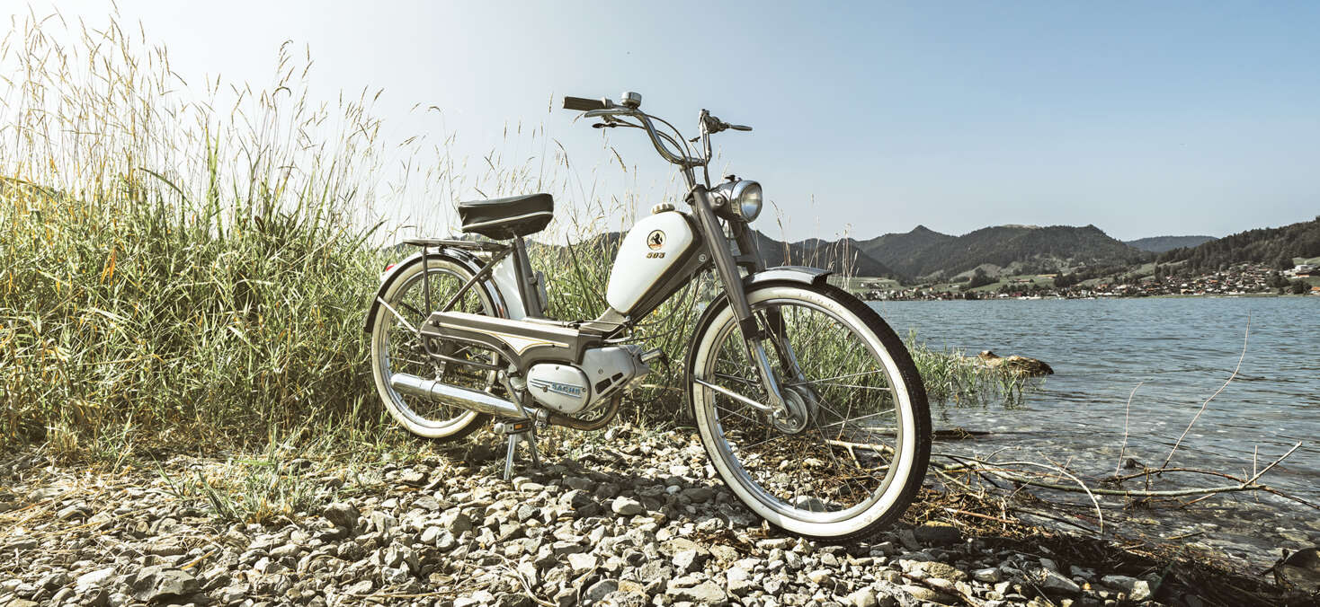 footer-image-1-pony-2259 × 1040 footer-image-1-pony-2259 × 1040