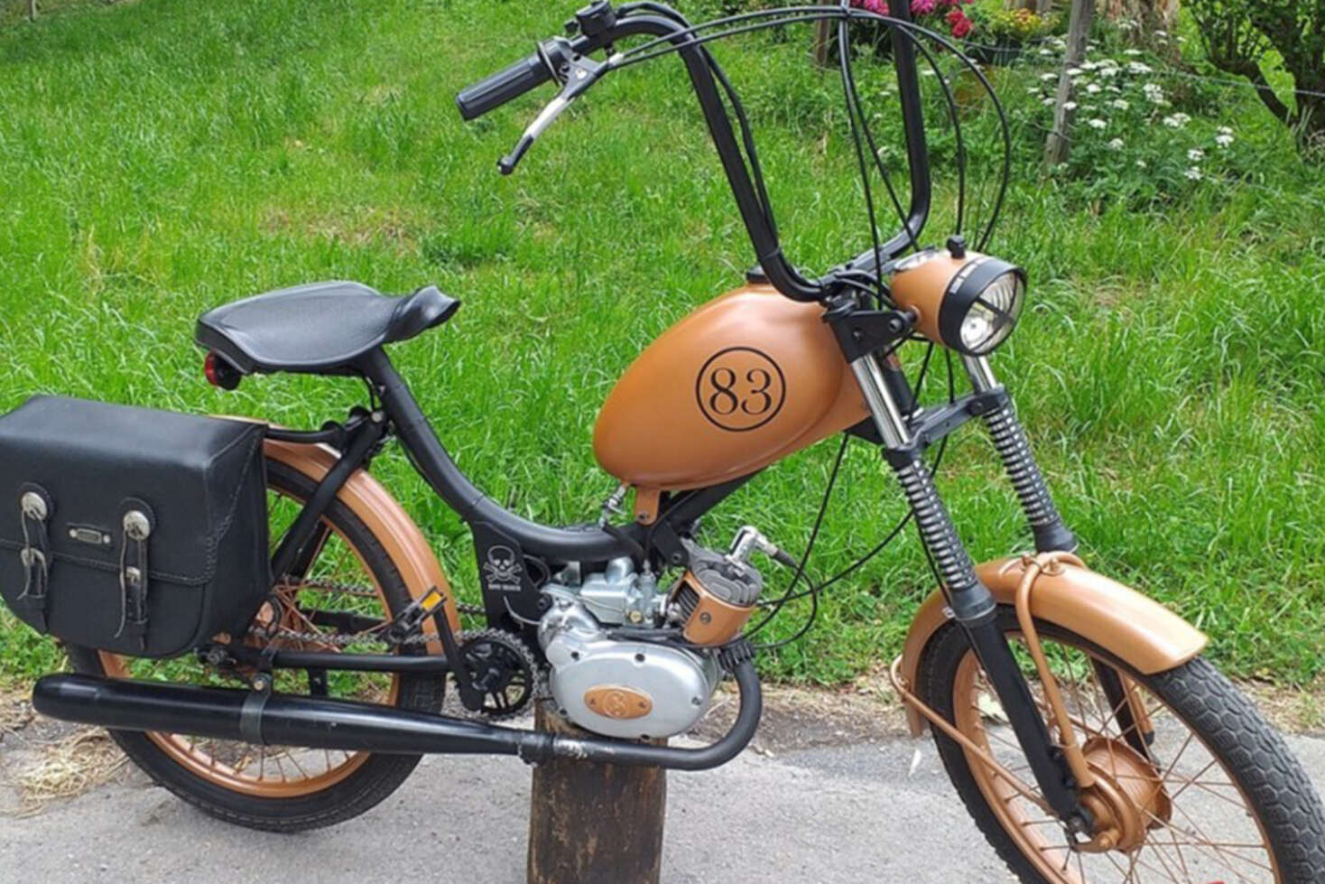 story-image-4-pony-1500 ×1000 story-image-4-pony-1500 ×1000