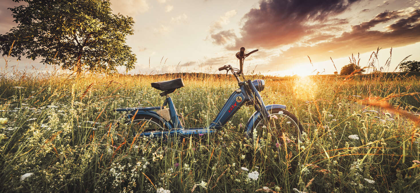 header-image-pony-2259× 1040 header-image-pony-2259× 1040