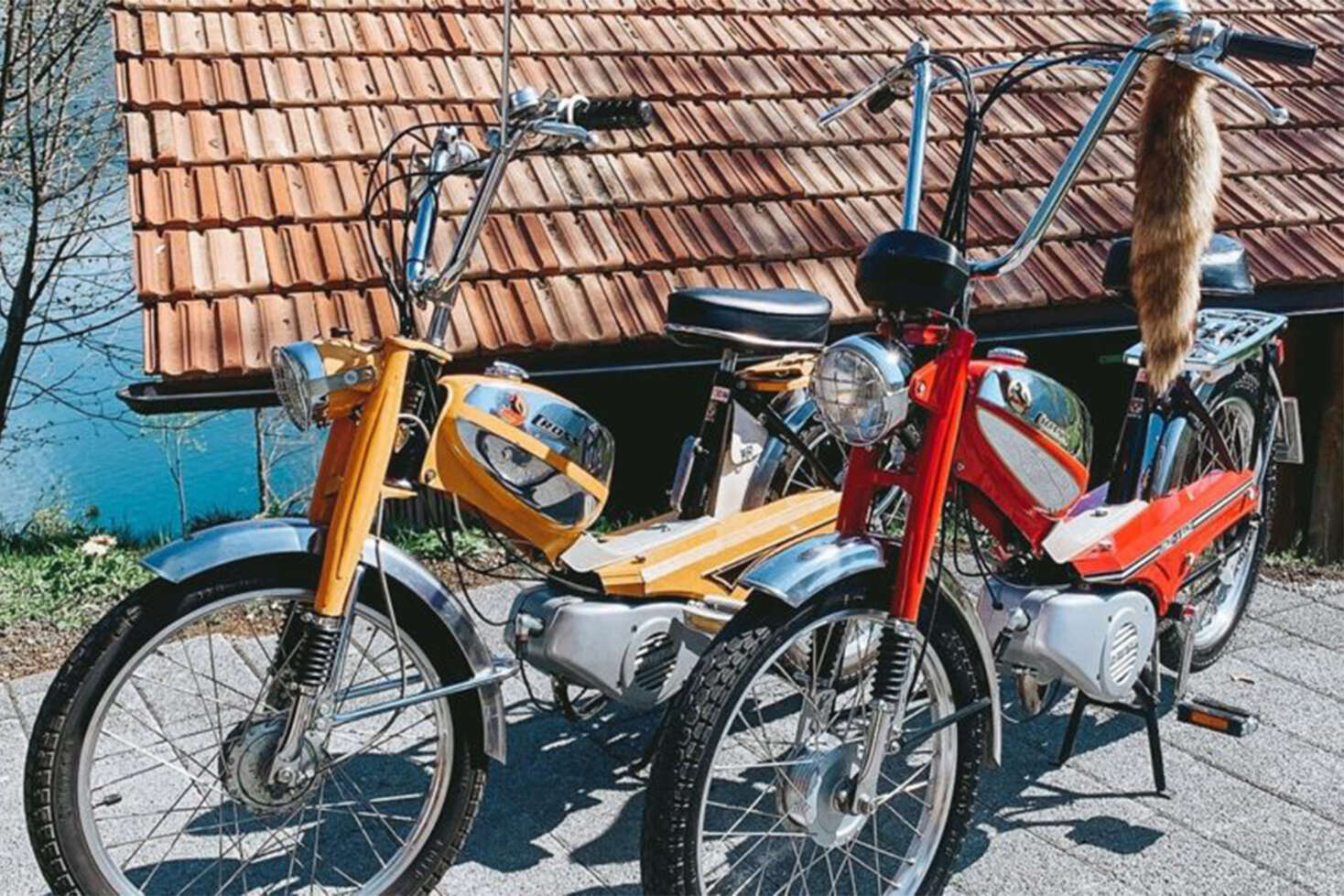 story-image-5-pony-1500 ×1000 story-image-5-pony-1500 ×1000