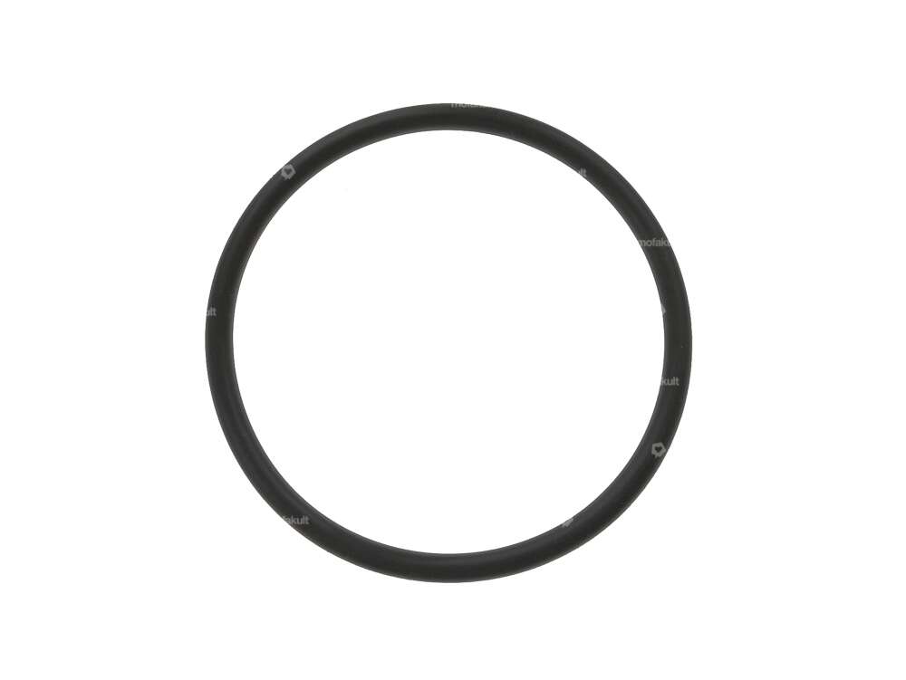 O-Ring Dichtung Zylinderkopf | Sachs 503 AB, ADV, AC (A7678) Carousel Image 1