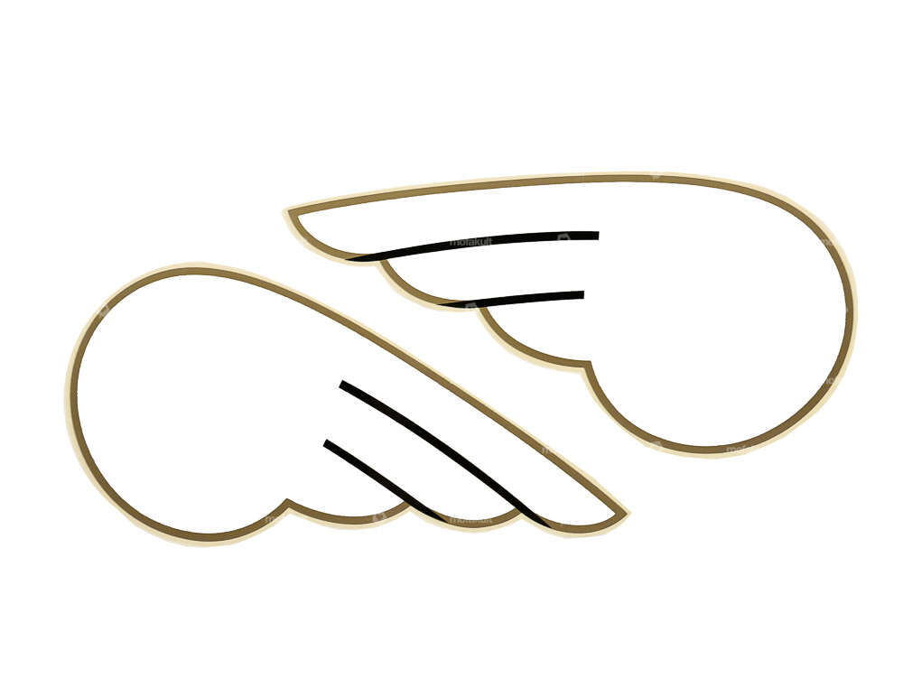 DKW Flügel weiss Paar Carousel Image 1