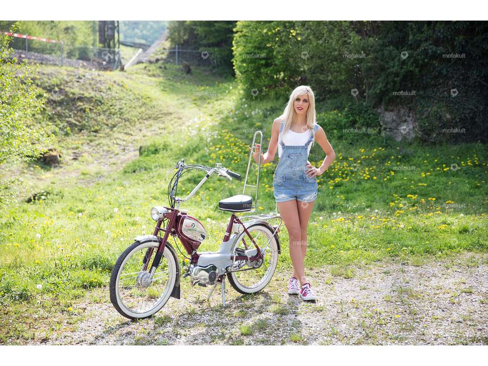 66HEROES Sattel mit Rückenlehne / Sissybar Carousel Image 2