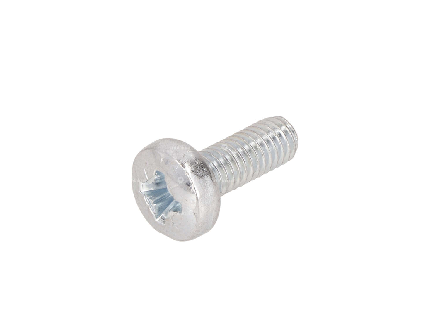 Screw M6x16 pan-head galvanized Carousel Image 1
