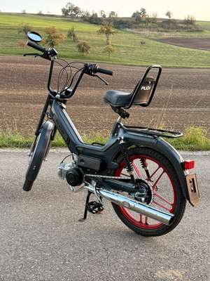 Der Graue-Star Der Graue-Star