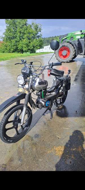 Cilo-Damien Cilo-Damien