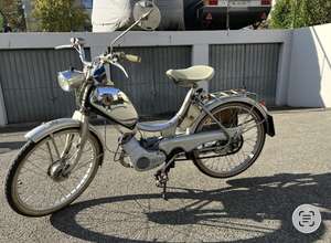 Pony Junior Pony Junior