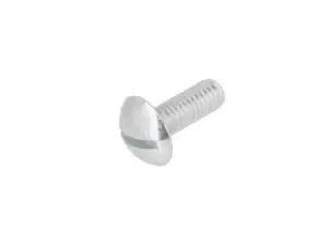 Screw M6x16 pan-head flat slot galvanized Screw M6x16 pan-head flat slot galvanized