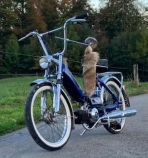 Blue Maxi N Blue Maxi N