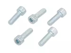 GPO screws galvanized (5 pieces) Cast iron hub | Puch GPO screws galvanized (5 pieces) Cast iron hub | Puch