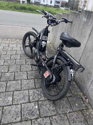 Schänder Ciao vom Schiinöö Schänder Ciao vom Schiinöö