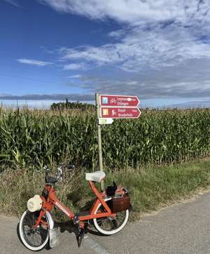 Solex 5000 Solex 5000