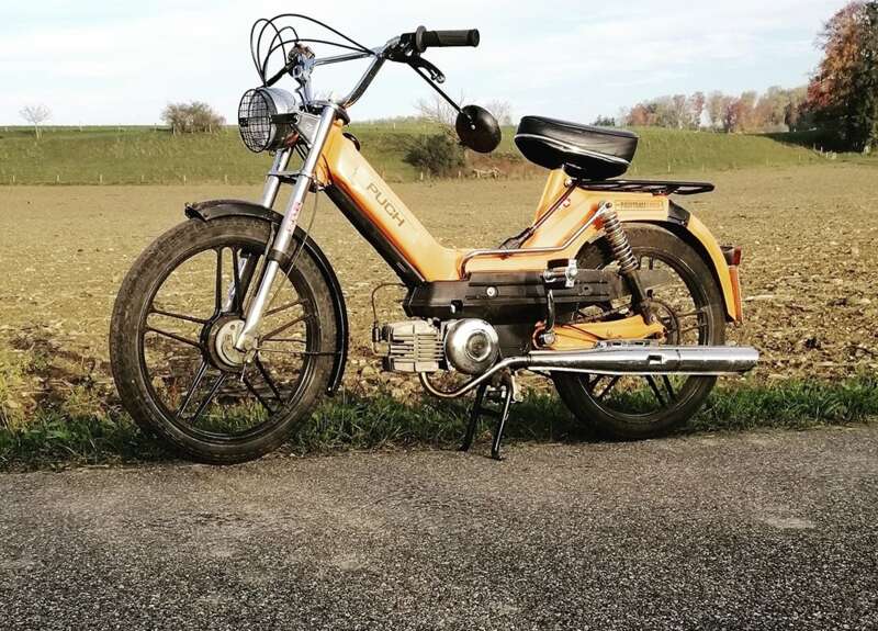 Maxi S von Leon Maxi S von Leon